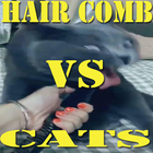 Hair Comb Vs Cats icône
