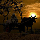 Kisan Grahak Connect icono
