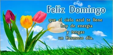 Feliz Domingo Bendiciones