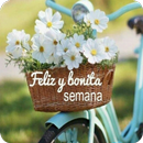 Feliz Dia de la Semana con Flores APK