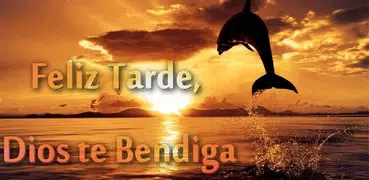Feliz Tarde