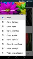 Hermosas Flores de Colores poster