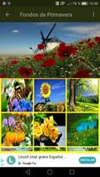 Imagenes de Primavera Fondos स्क्रीनशॉट 3