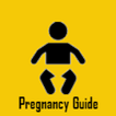 ”Pregnancy Guide