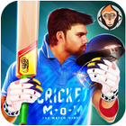 Cricket Man Of the Match : Player Career ไอคอน