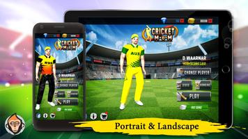 Cricket Man Of the Match : Player Career screenshot 1