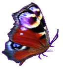 Icona Flappy Butterfly