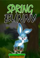 Wiosna Bunny plakat