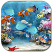 Tropical fishes aquarium