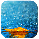 APK Rainy autumn
