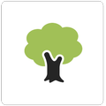 Plant A Tree
