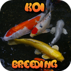 Koi Fish Breeding Free Ebook icône