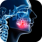 Anatomie de la bouche icône
