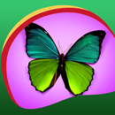 APK Butterfly Live Wallpapers