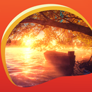 浪漫动态壁纸 APK