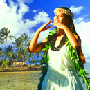 Hawaiian Radio APK