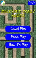 Backyard Crazy Mazes Poster