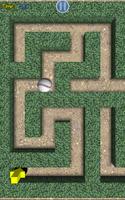 Backyard Crazy Mazes screenshot 1