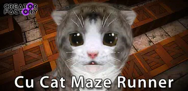 Cu Cat Maze Runner