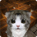 Cu Cat Maze Runner APK