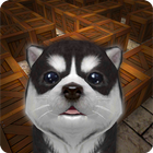 Cu Pup Maze Runner أيقونة