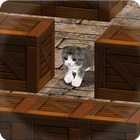 Cu Cat Slide The Walls 3D Free icon