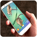 APK Mouse In Phone - Prank