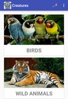 Tiere, Vögel & Insekten Sounds Plakat