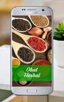 Resep Obat Herbal Tradisional تصوير الشاشة 3