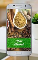 Resep Obat Herbal Tradisional تصوير الشاشة 1