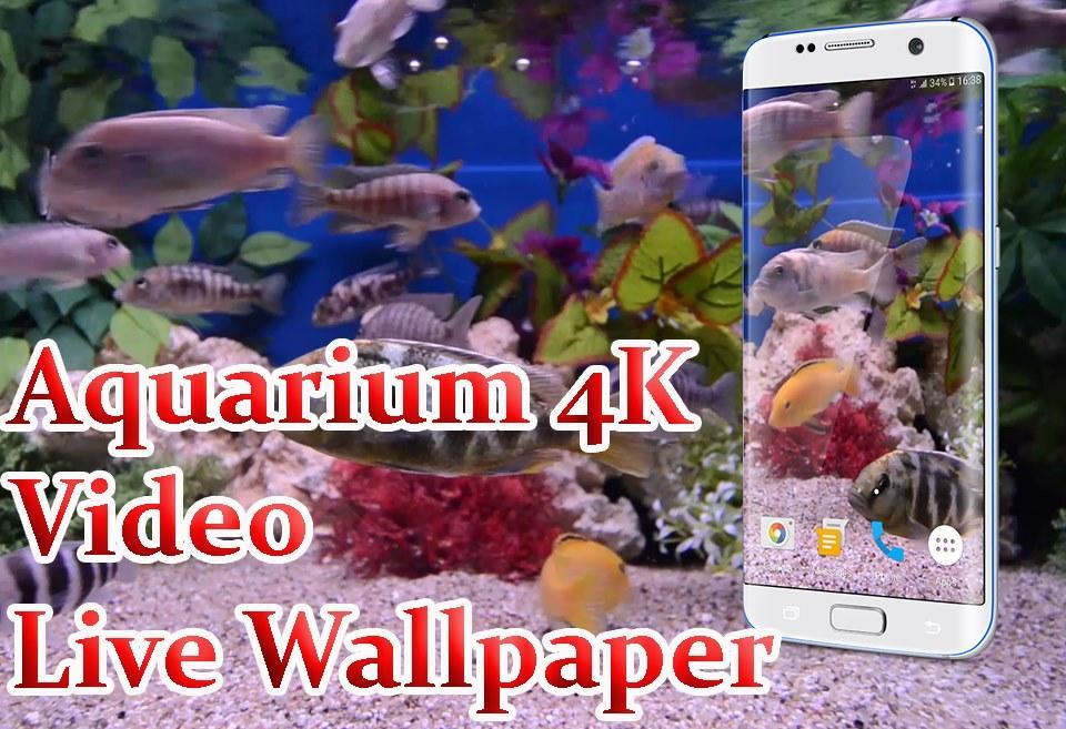 Aquarium 4k Live Wallpaper 1 0 3 Download Free - pv-free