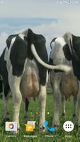 Funny Cows Live Wallpaper capture d'écran 3