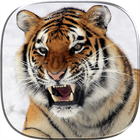 Tiger 3D Live Wallpaper icône