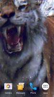Tiger 3D Live Wallpaper 스크린샷 2