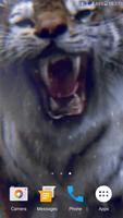 Tiger 3D Live Wallpaper 스크린샷 3