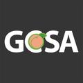 GCSA