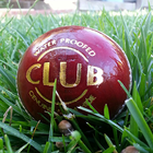 CriCur8 - Cricket News Digest 아이콘