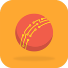 CRICHUB CRICKET 图标