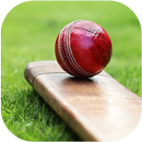 Cricket Info APK