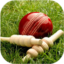 APK Cricket Live Line