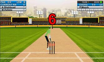 Cricket Hero Challenge 3D 2016 capture d'écran 1