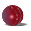 Hindi Cricket News APK