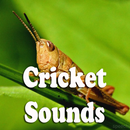 Cricket Sounds APK