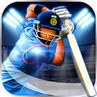 Cricket World Cup Game آئیکن