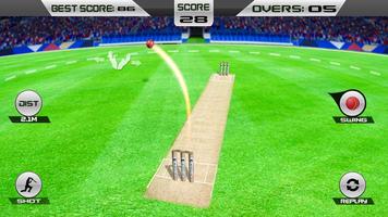 Wicket hit cricket game Cartaz