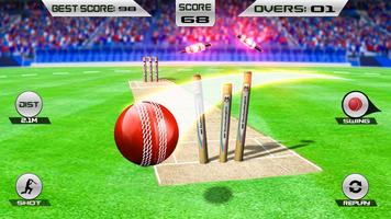 Wicket hit cricket game imagem de tela 1