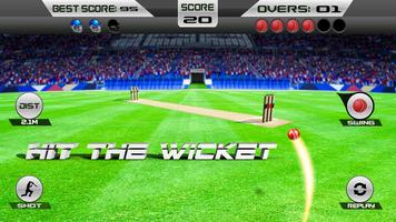 Wicket hit cricket game imagem de tela 3
