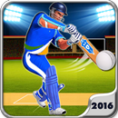 Cricket Master Blaster 2016 3D APK