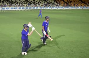 Cricket 2019 ภาพหน้าจอ 2