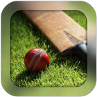 Cricket icône